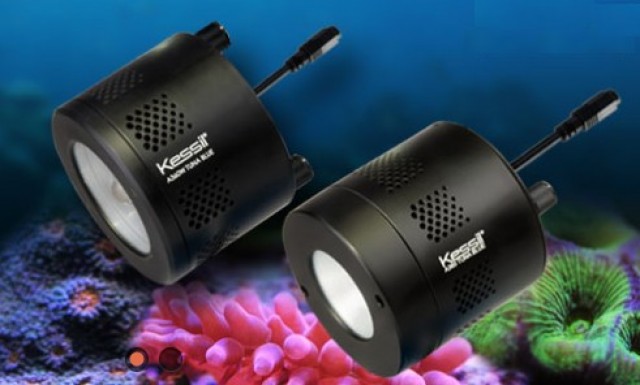 Kessil Reef Lighting